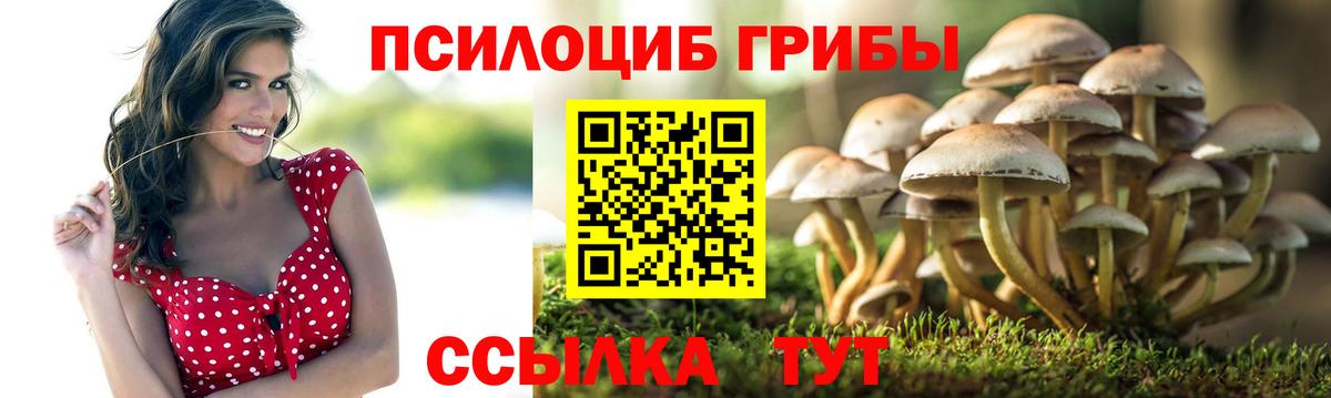 Галлюциногенные грибы Magic Shrooms  Вход с VPN  Волжск 